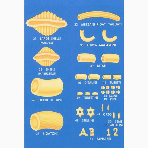 Pasta Types Magnet