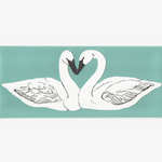 Perfect Match Swans