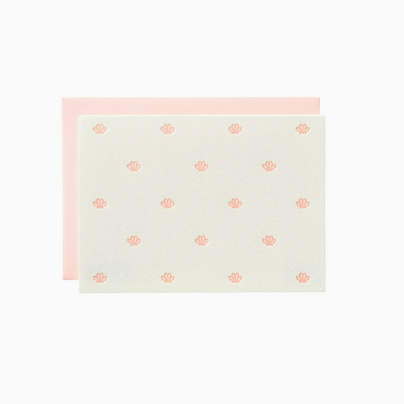 Seashell Pattern Boxed Set