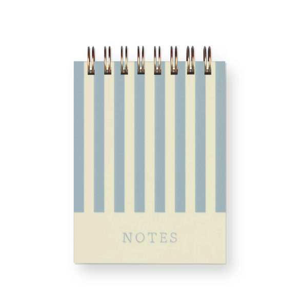 Blank Mini Notebook: Sky Blue Striped