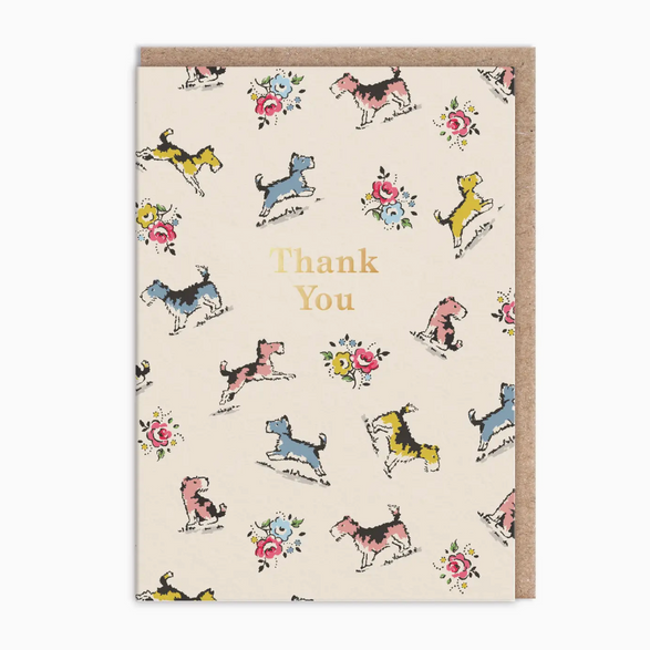 Thank You Terrier Boxed Set