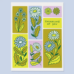 Thinking of You Daisies