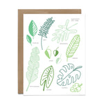 Leaf Study Greeting Card