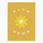 5x7 Art Print: Slow Down