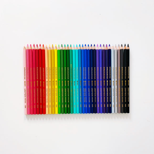 Caran d'ache watercolor pencils  Pen and paper, Watercolor pencils,  Painting supplies